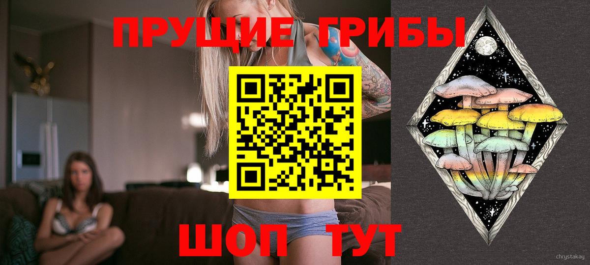 Псилоцибиновые грибы MAGIC MUSHROOMS  Вход с VPN  где продают наркотики  Каспийск 